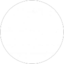 Mai Le profile picture